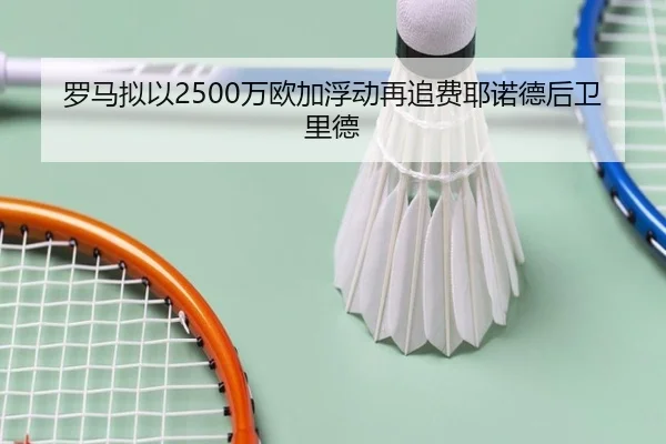 罗马拟以2500万欧加浮动再追费耶诺德后卫里德
